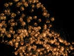 fuochi d'artificio