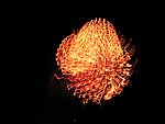 fuochi d'artificio