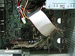 ragnatele nel pc